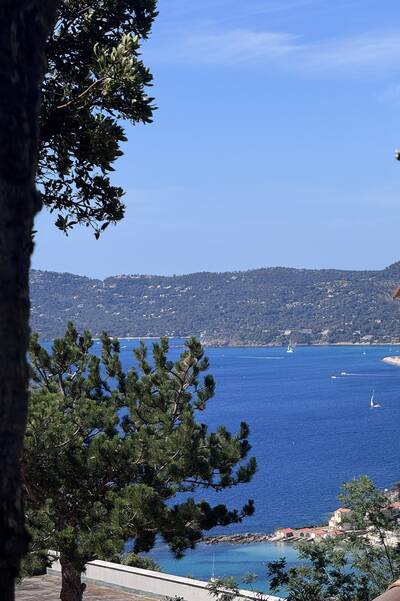 Vente maison 3 pièces Le Lavandou (83980)