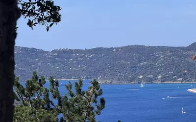 Le Lavandou (83980)