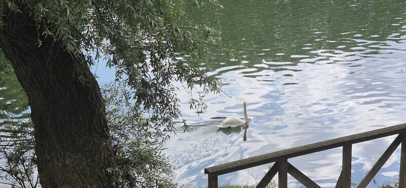 Champigny-Sur-Marne (94500)