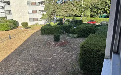 Rueil-Malmaison (92500)