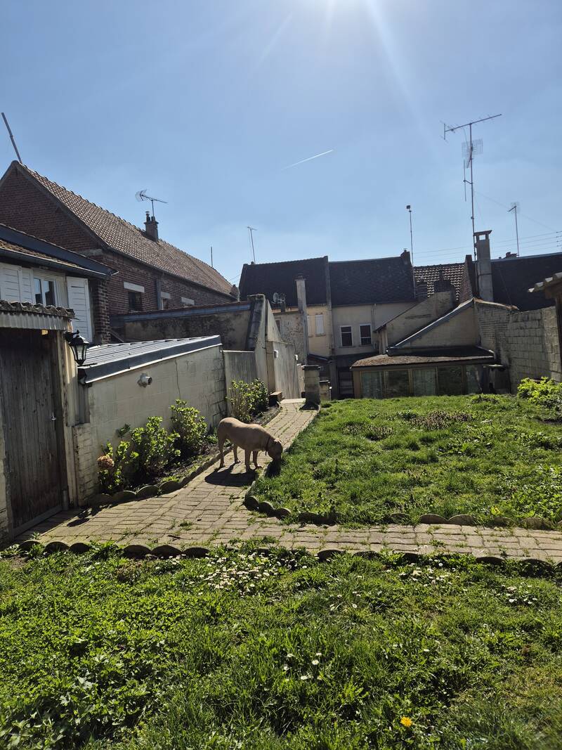 Nesle (80190)
