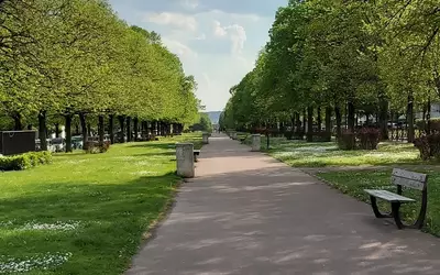 Le Chesnay-Rocquencourt (78150)