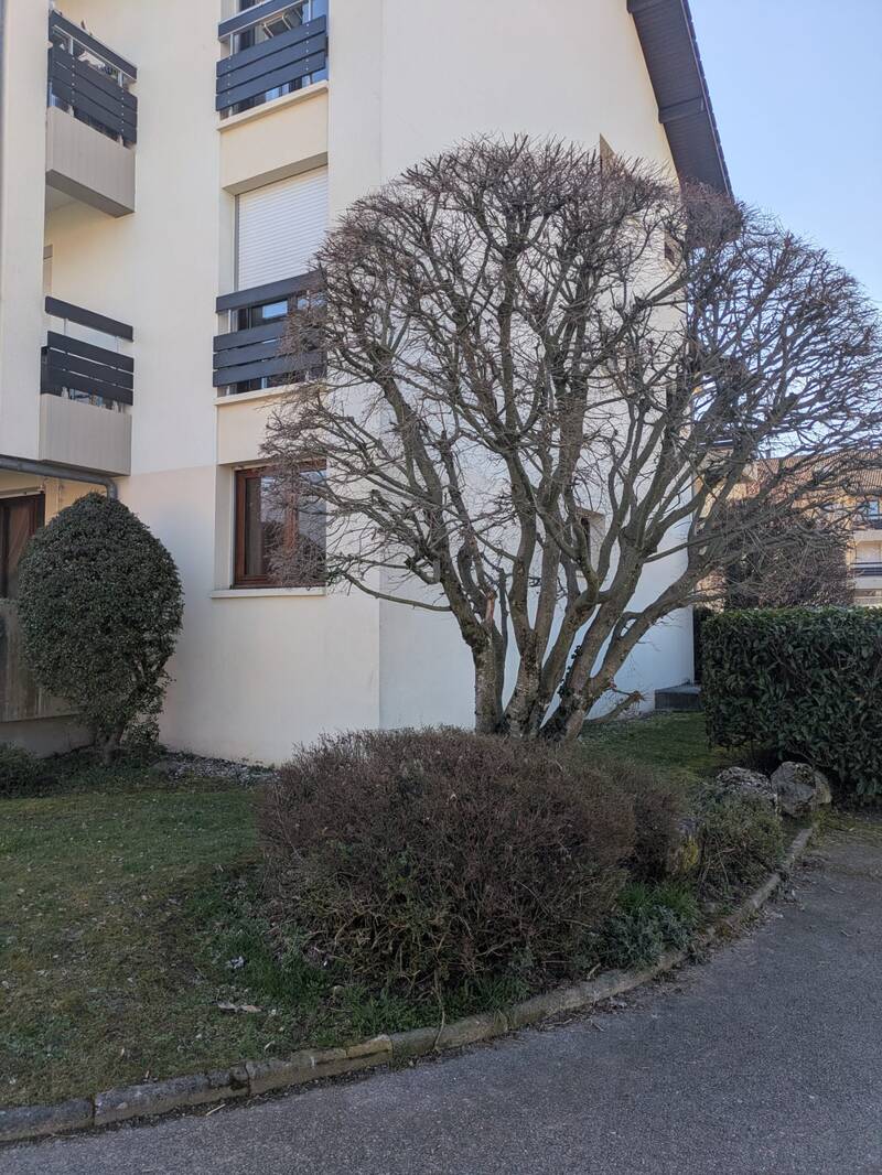 Saint-Jorioz (74410)