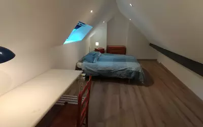 Lille (59000)