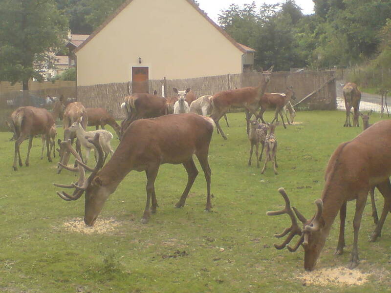 Mouroux (77120) (77120)