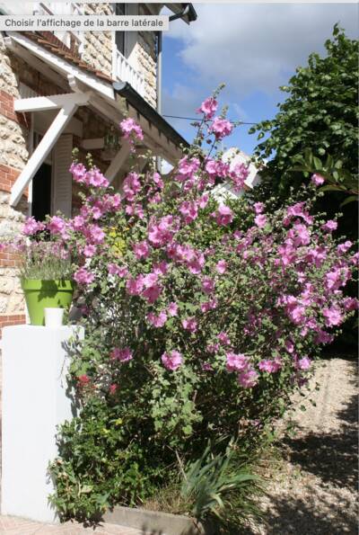Vente maison 6 pièces Fontainebleau (77300)