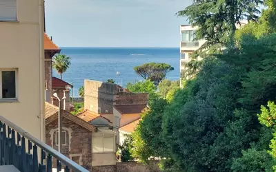 Cannes (06150)