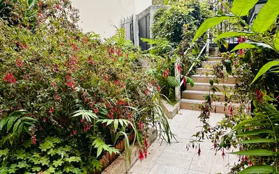 Boulogne-Billancourt (92100)