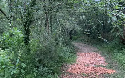 Montbrun-Lauragais (31450)