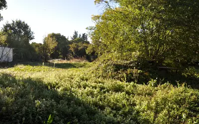 Orthoux-Sérignac-Quilhan (30260)