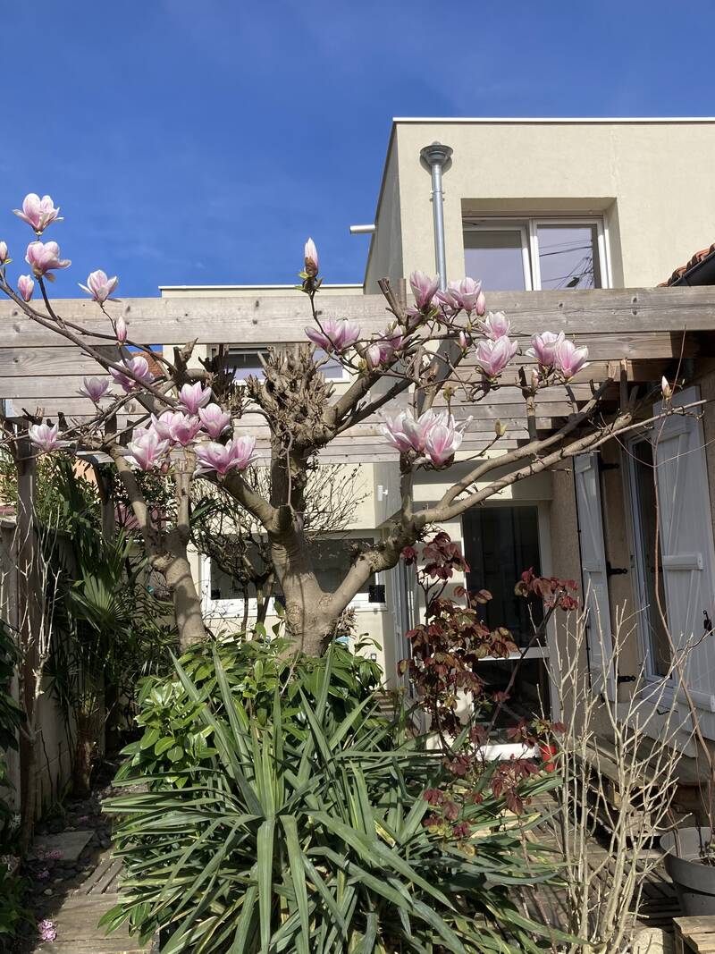 Montreuil (93100)