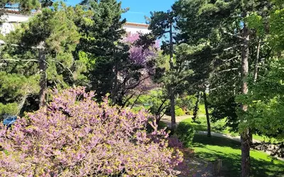 Suresnes (92150)