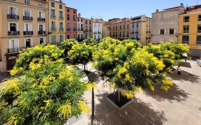 Perpignan (66000)