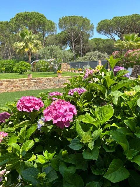 Grimaud