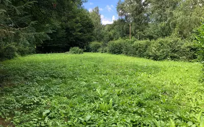 Bézu-La-Forêt (27480)