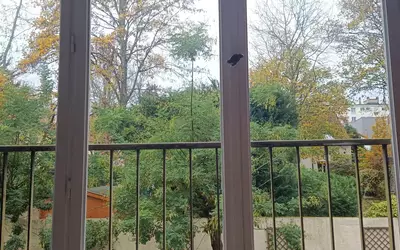 Sceaux (92330)