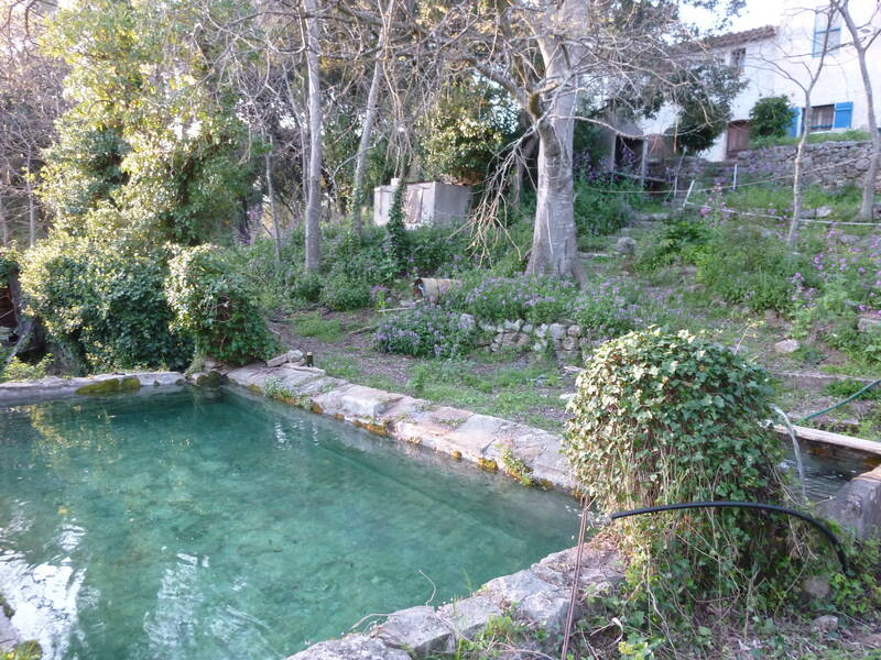 Vidauban (83550)