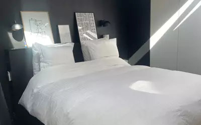 Maisons-Alfort (94700)