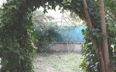Toulouse (31000)