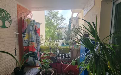 Montpellier (34000)