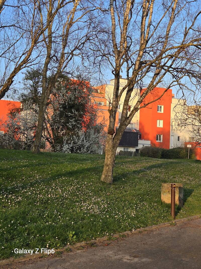 Cergy (95000)