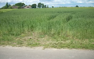Saint-Georges-Du-Rosay (72110)