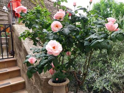 Vente maison 4 pièces Marsanne (26740)