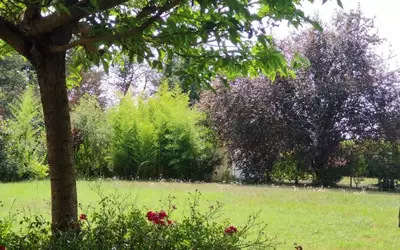 Mizérieux (42110) + Terrain 1650 M²