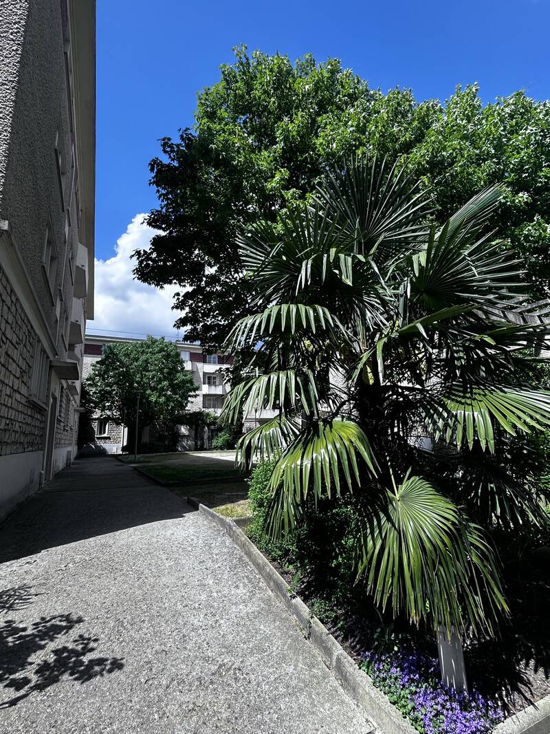 Champigny-Sur-Marne (94500)