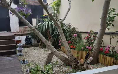 Fontenay-Sous-Bois (94120)