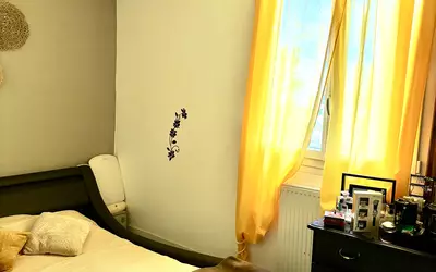 Maison À Vendre Lac Dse Bretonnières Joué-Lès-Tours (37300)