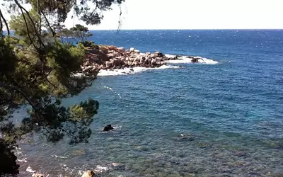 Bandol (83150)