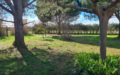 Le Cailar (30740)