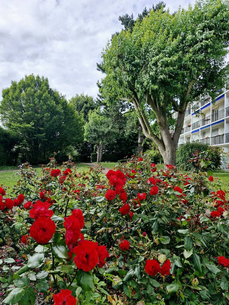 Clamart (92140)