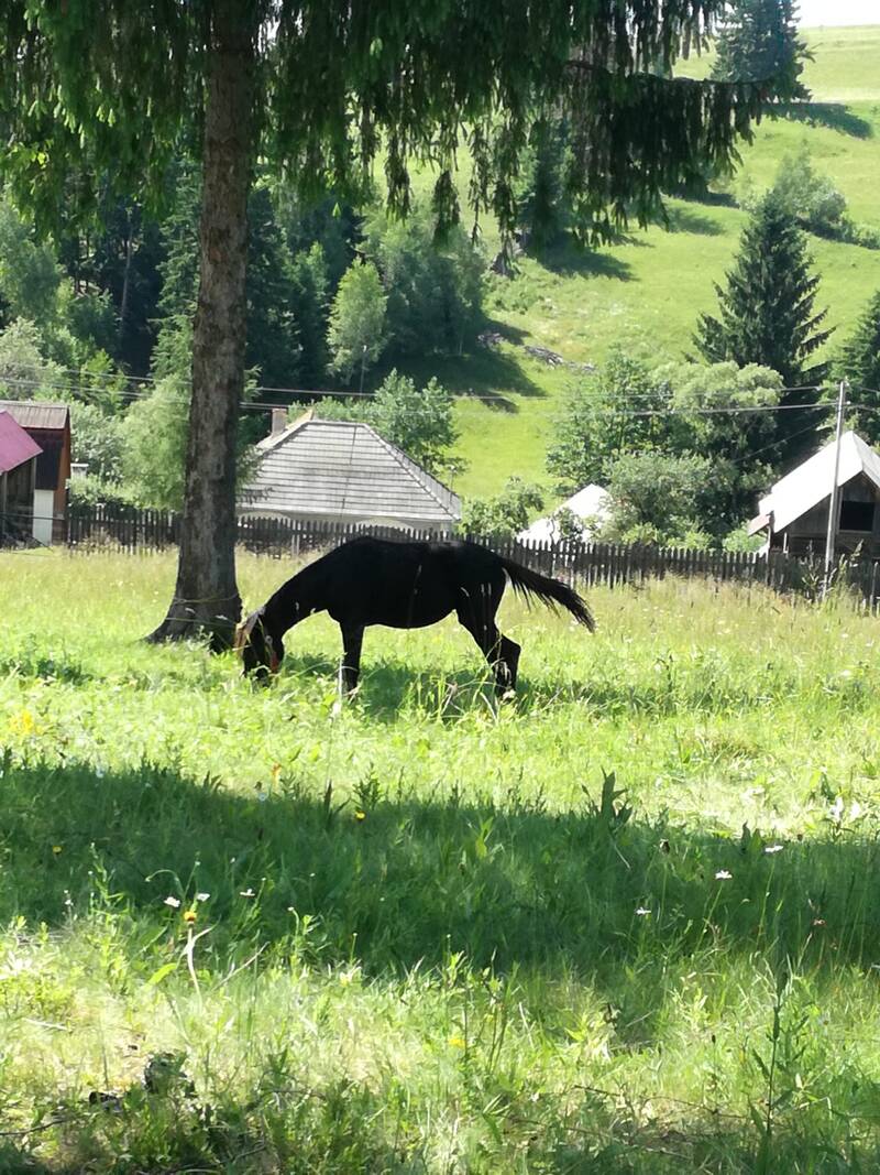 Roumanie