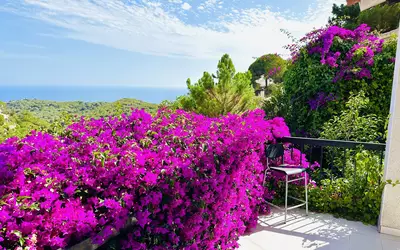 Espagne