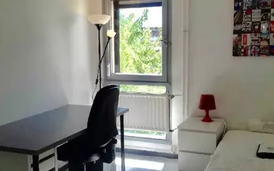 Lille (59) - Colocation