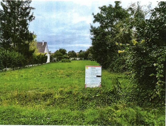 Saintry-Sur-Seine (91250)