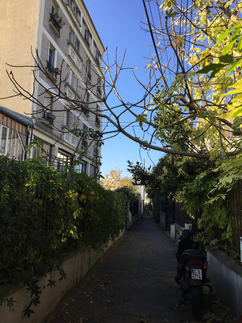 Montreuil (93100)