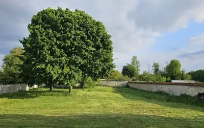 Sissonne (02150)