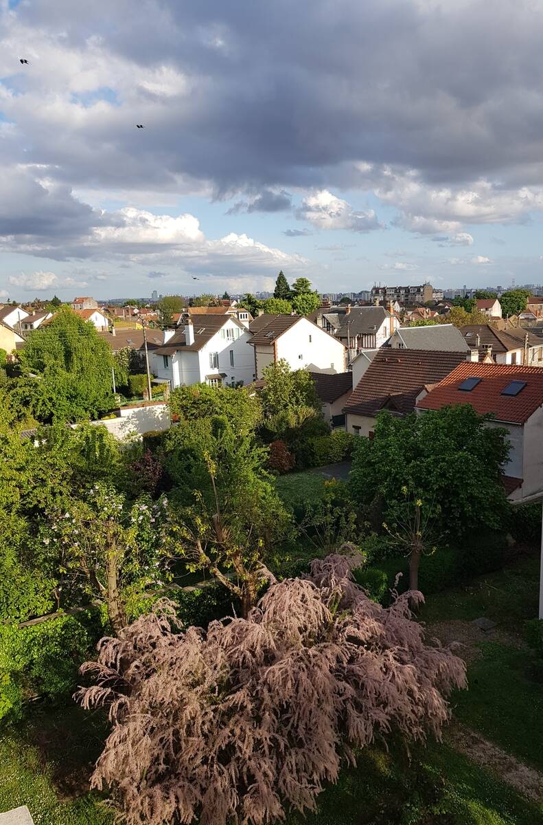 Argenteuil (95100)