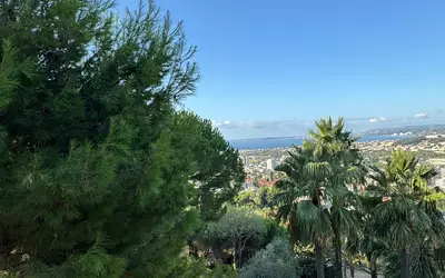 Nice (06000)