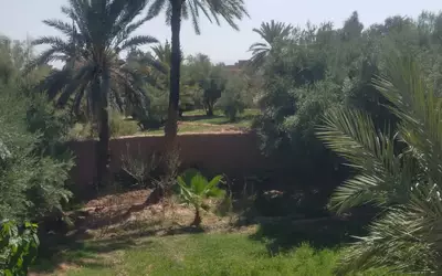 Maroc