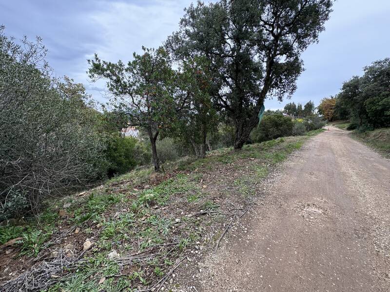 Carqueiranne (83320)