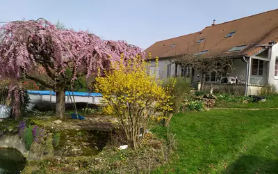 Montolivet (77320)