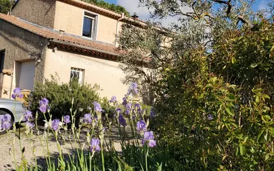 Taillades (84300)