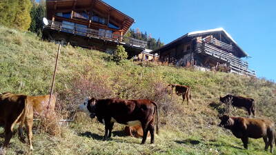 Vente maison 7 pièces La Plagne Tarentaise (73210)