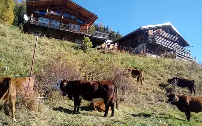 La Plagne Tarentaise (73210)