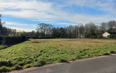 Selles-Sur-Cher (41130)