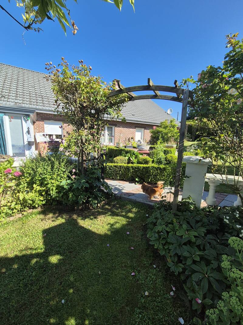 Buire-Au-Bois (62390)